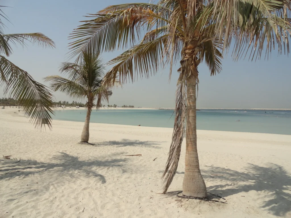 Peaceful atmosphere at Al Sufouh Beach, Dubai, where palm trees cast soft shadows on the sand, creating a perfect spot to unwind by the turquoise sea.